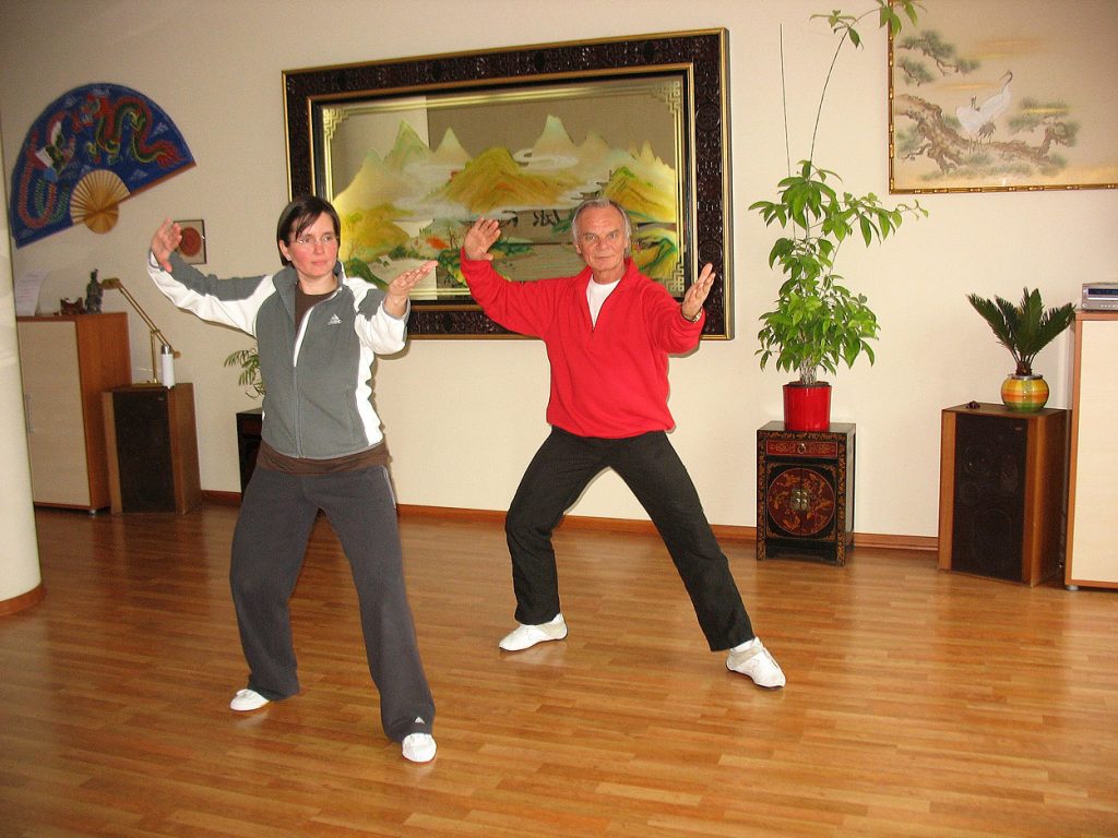 Tai Chi - Qigong - Rückengesundheit - Shogun Praxis für Gesundheitssport Berlin - mit Zuschüssen aller gesetzl. Krankenkassen